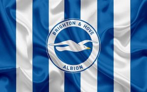 CLB Brighton & Hove Albion và những thành tích đạt được