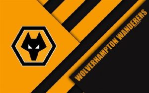 Giới thiệu CLB Wolverhampton Wanderers và những thành tựu đáng kể nhất