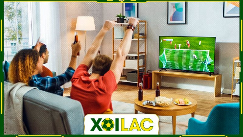 Xoilac TV - Chuyên trang thể thao chất lượng hàng đầu