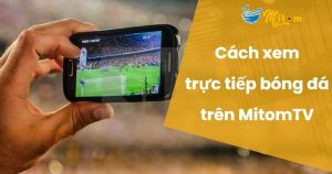 Xem bóng đá trực tiếp chất lượng tốt nhất tại mitom tv