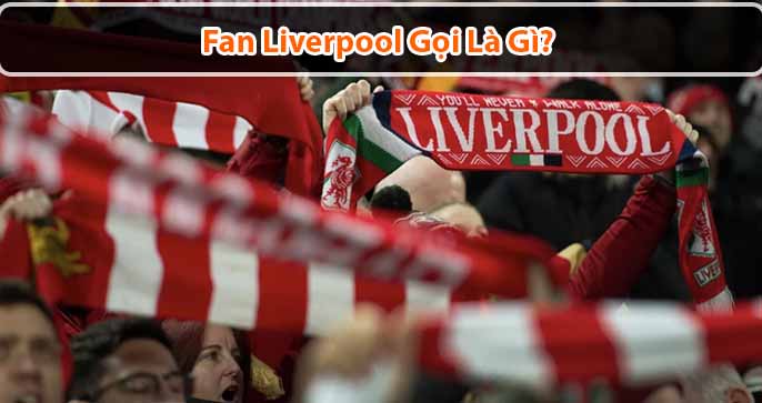 Fan Liverpool gọi là gì? Vì sao cổ động viên Liverpool luôn trung thành với câu lạc bộ?