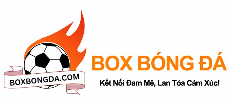 Box Bóng Đá – Kết nối đam mê, lan tỏa cảm xúc trọn vẹn cùng người hâm mộ
